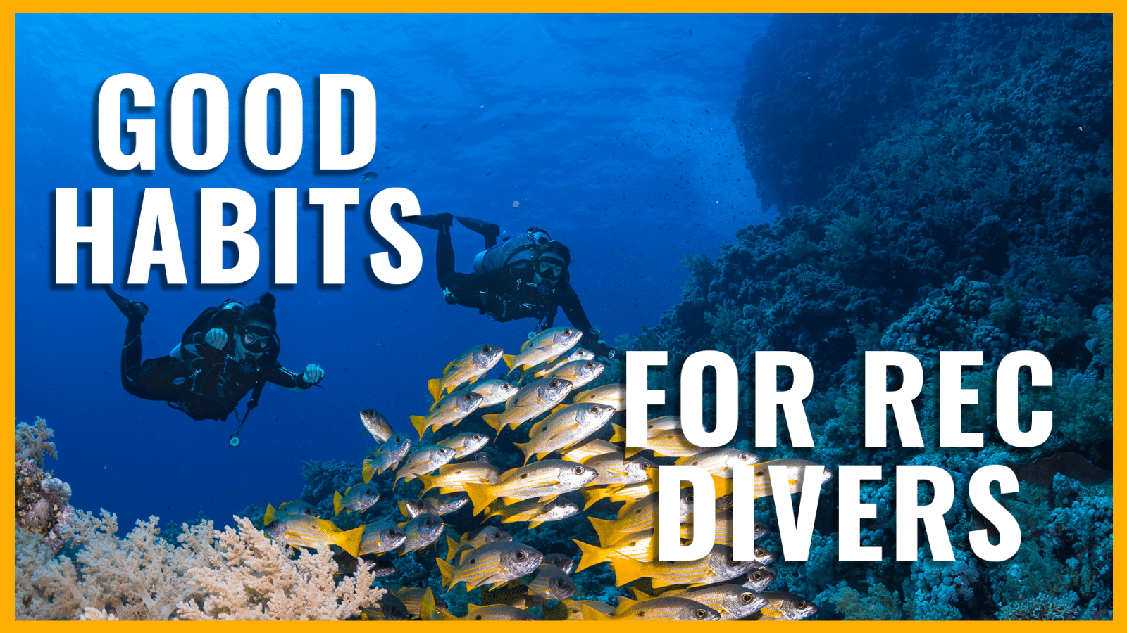 Good Habits for Recreational Divers -GUE's InDepth