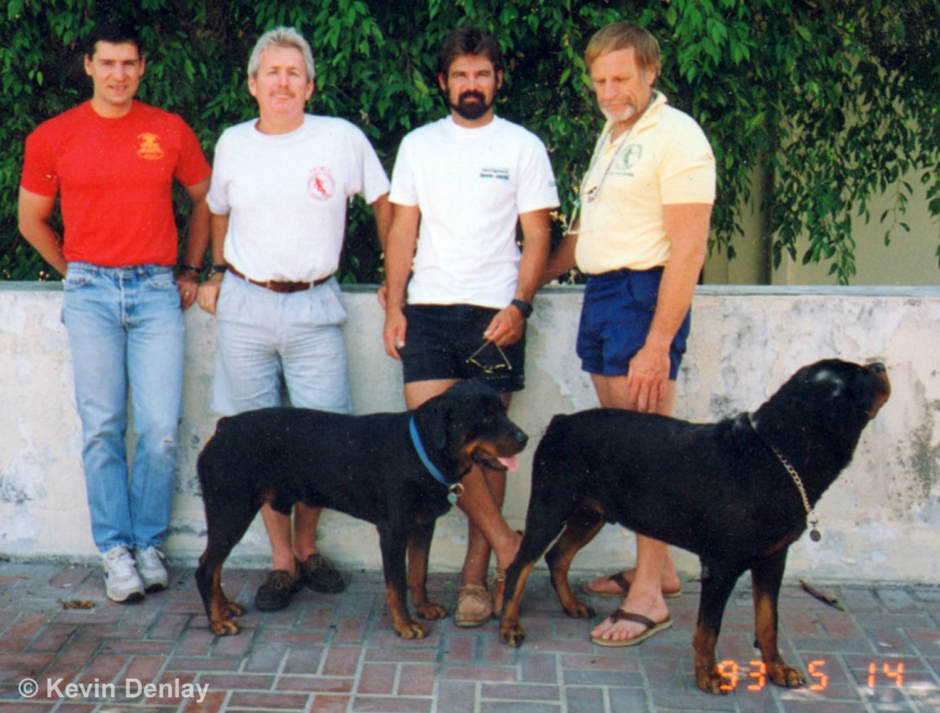 The  first three IANTD trained Open Water Diver Instructors - 14th May 1993 - with Instructor Trainer Tom Mount and two assistant instructor Rottweilers. 