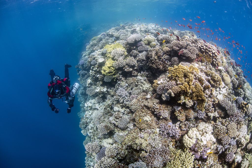 A Divesoft Liberty diver perusing the reef. 
