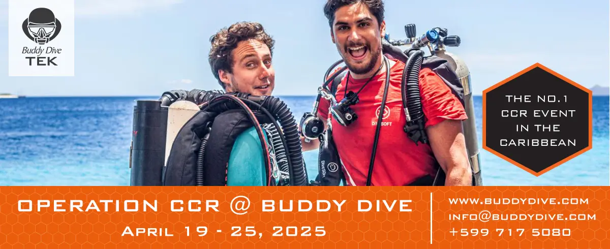 Buddy Dive