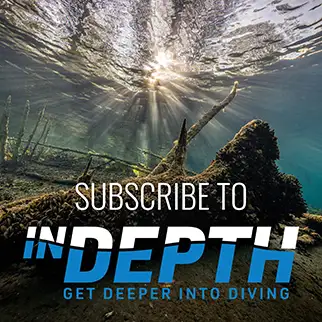 Subscribe to InDEPTH