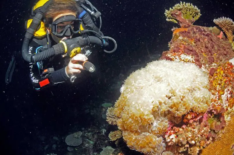 Jessica Keller on a ight dive in American Samoa on an AP Evolution