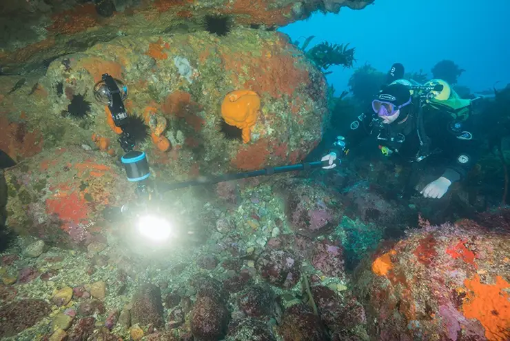 Diver recording 360 video underwater