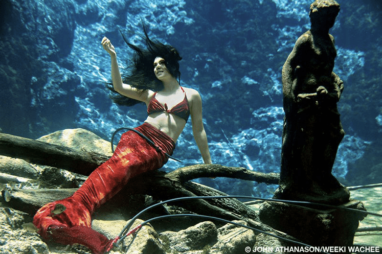 Mermaids guard the entrance to Weekie Wachee