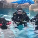 rebreather training