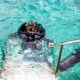 Buddy Dive Bonaire