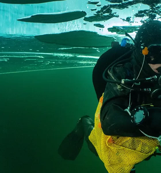 diving under ice