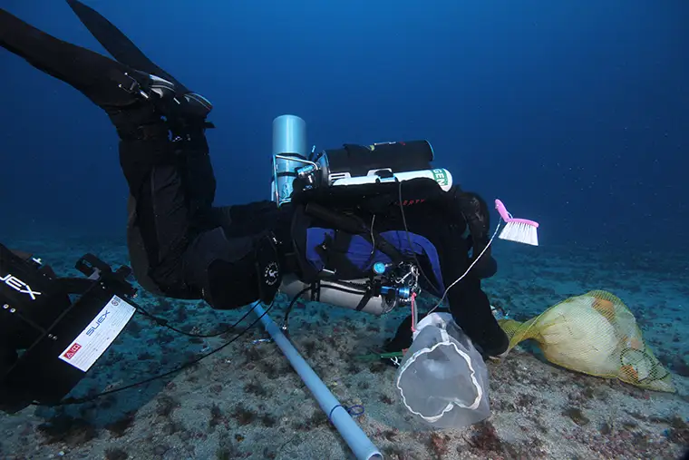 Ocean Census Macaronesia Expedition