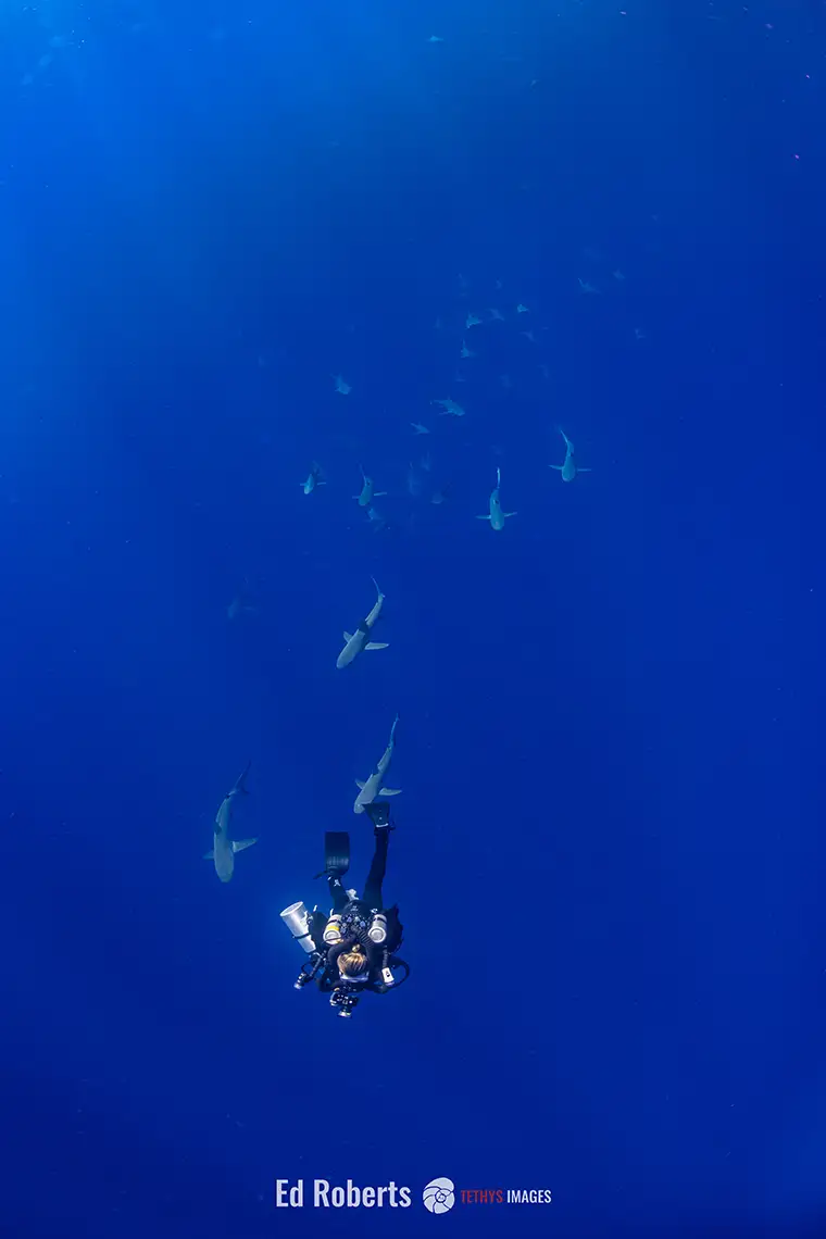 Dr. Rowley on Deco after conducting the deepest dive