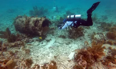 diving with a purpose