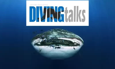 diving talks portugal