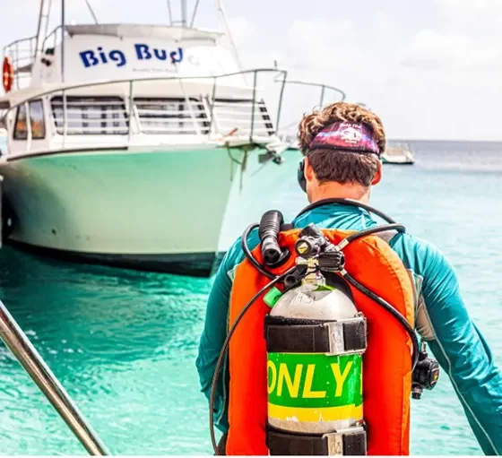 Buddy Dive Bonaire solo diving