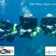 VIP Diving Bonaire