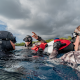 PFI freediving course