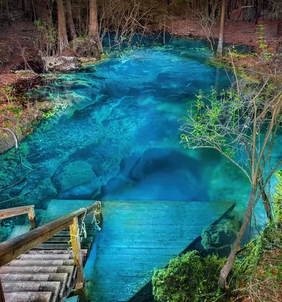 Illuminated Springs