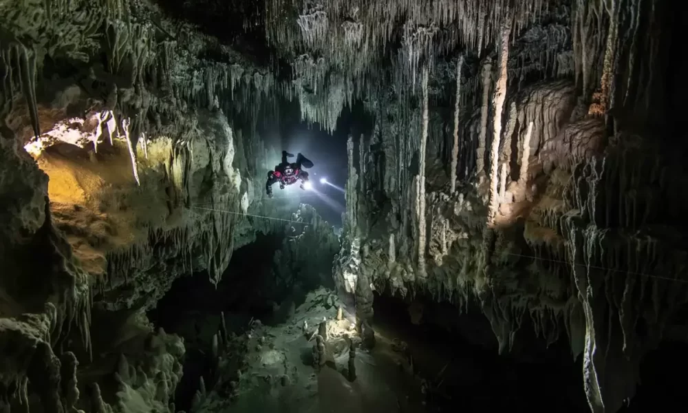 Diving Cenotes InDEPTH Magazine